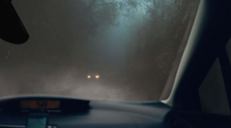 When Driving In Fog You Should